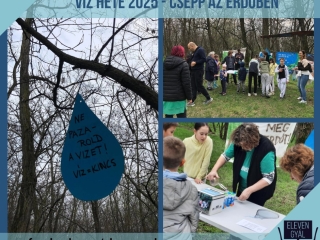 cseppazerdoben1