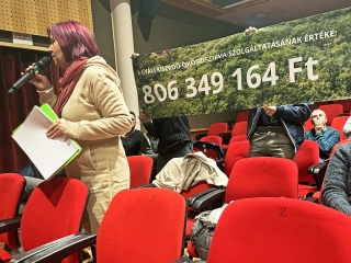 A molinó